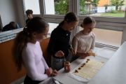 IMG_4799M.JPG